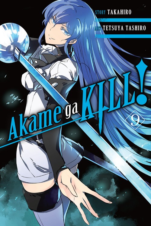 Anime Review, Akame ga Kill