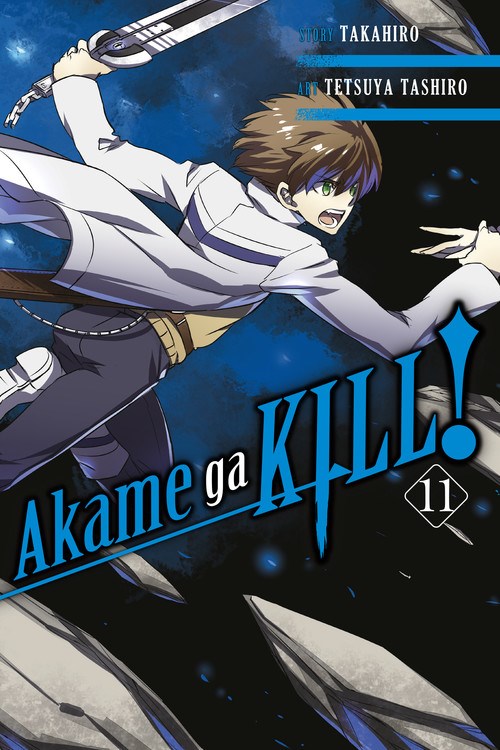 Akame Ga Kill!, Review